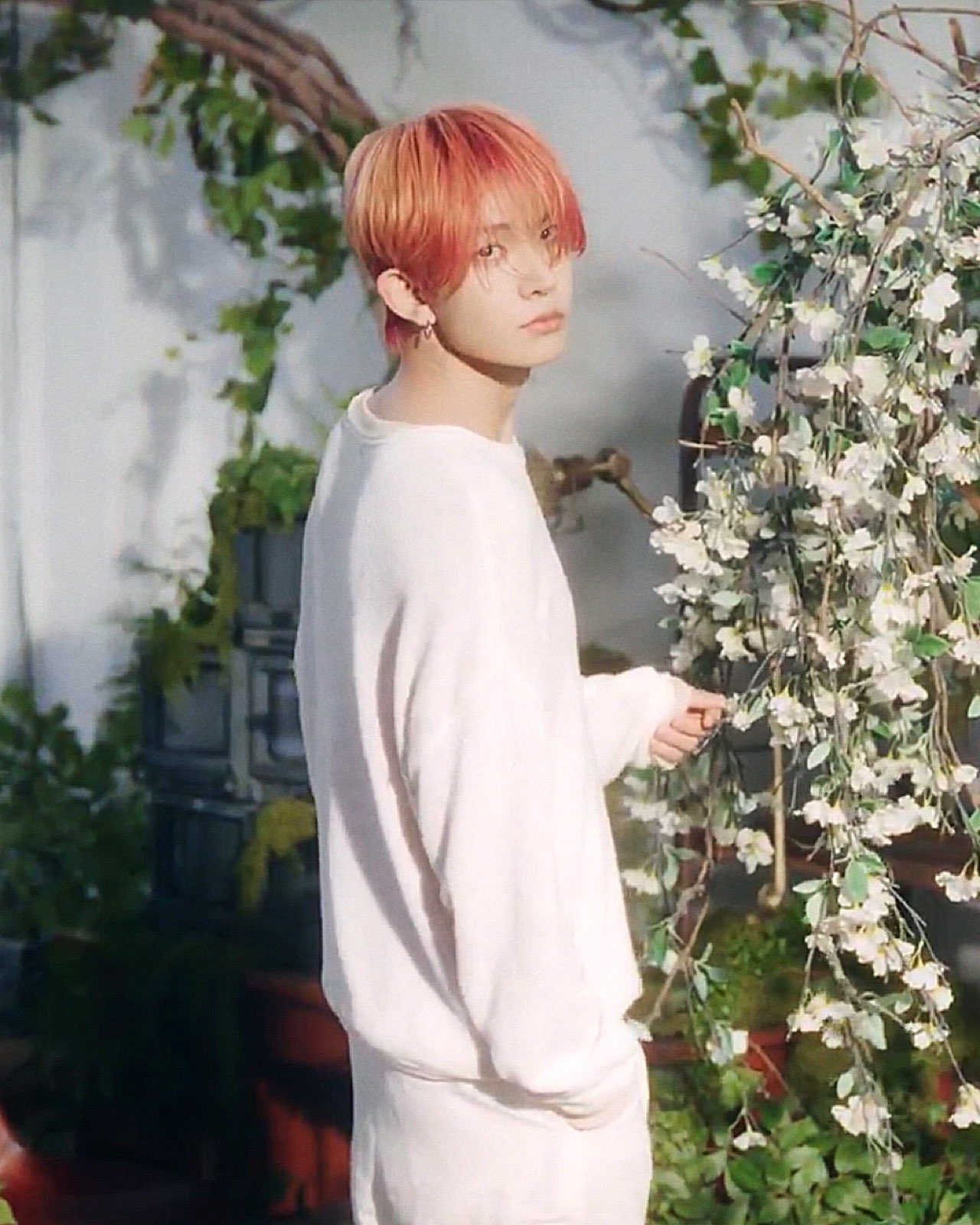 羲承 (ENHYPEN)粉丝拍下的瞬间