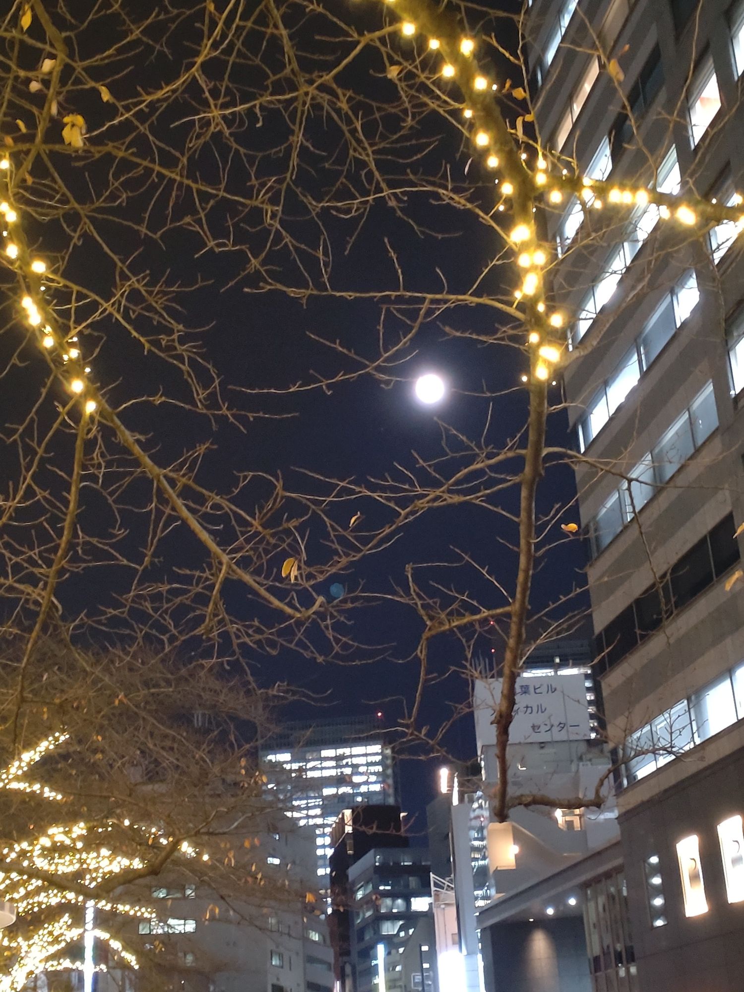 A moment captured by Moonbin (ASTRO)'s fan