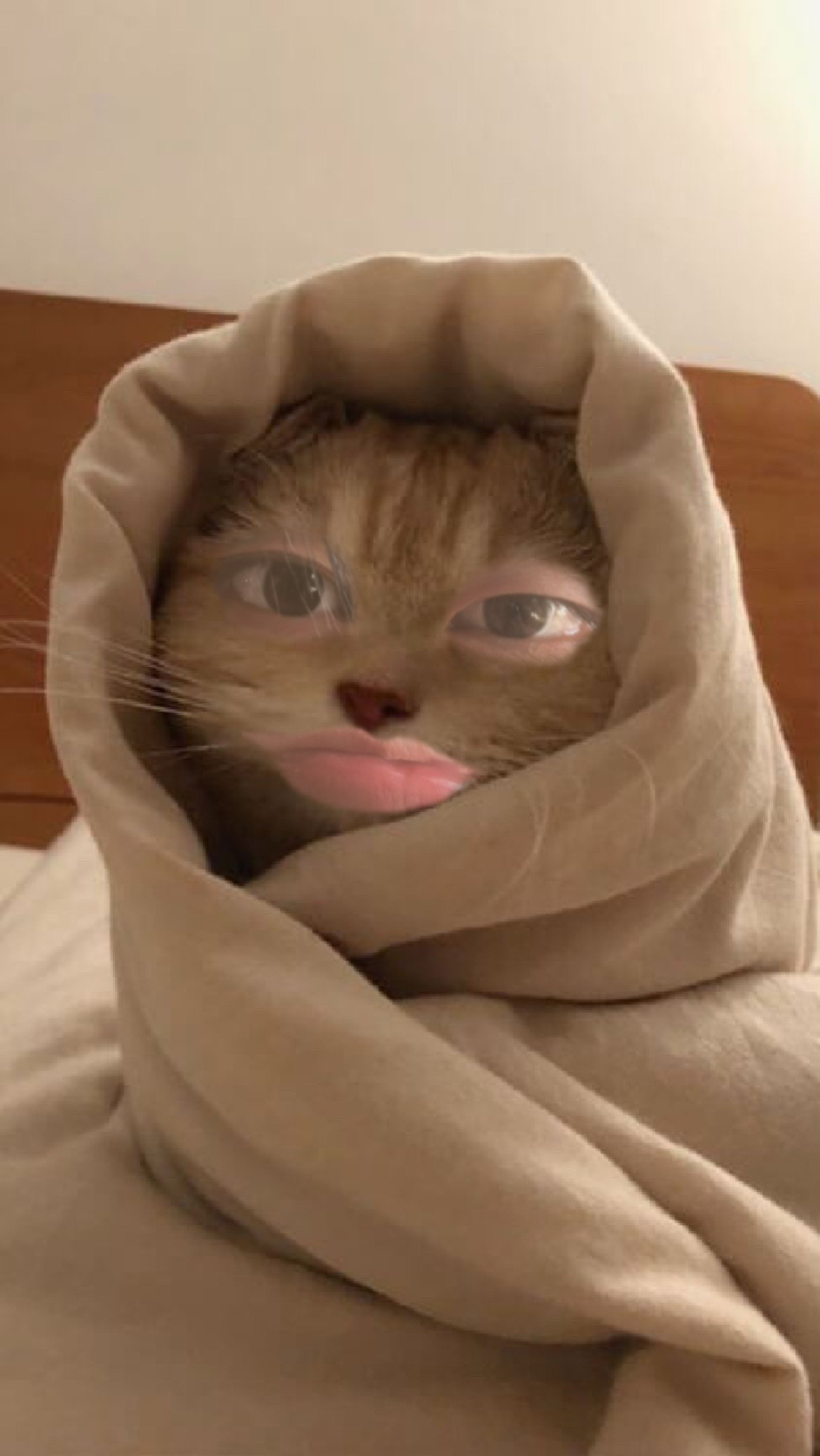 Today's most popular wallpaper in the Kim Jiwoong (ZEROBASEONE) community