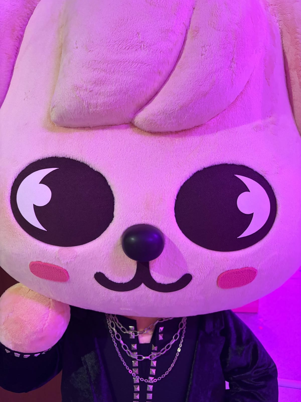 Stray Kidsの最近の活動写真