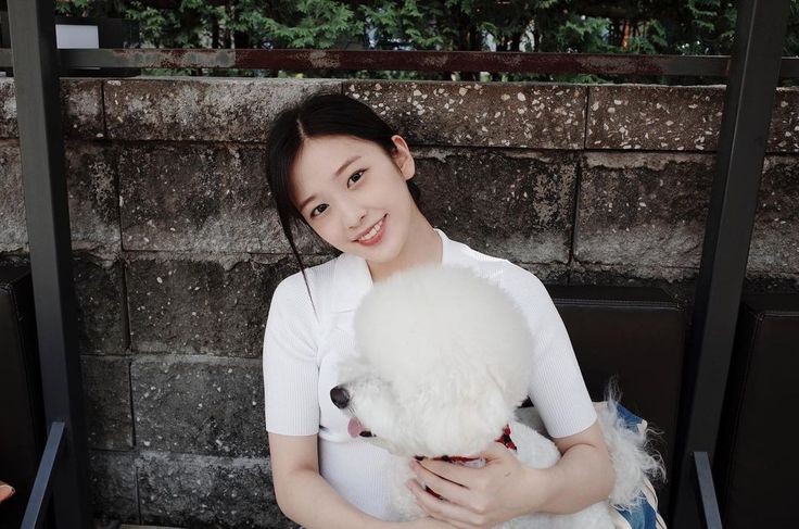 A moment captured by An Yujin (IVE)'s fan