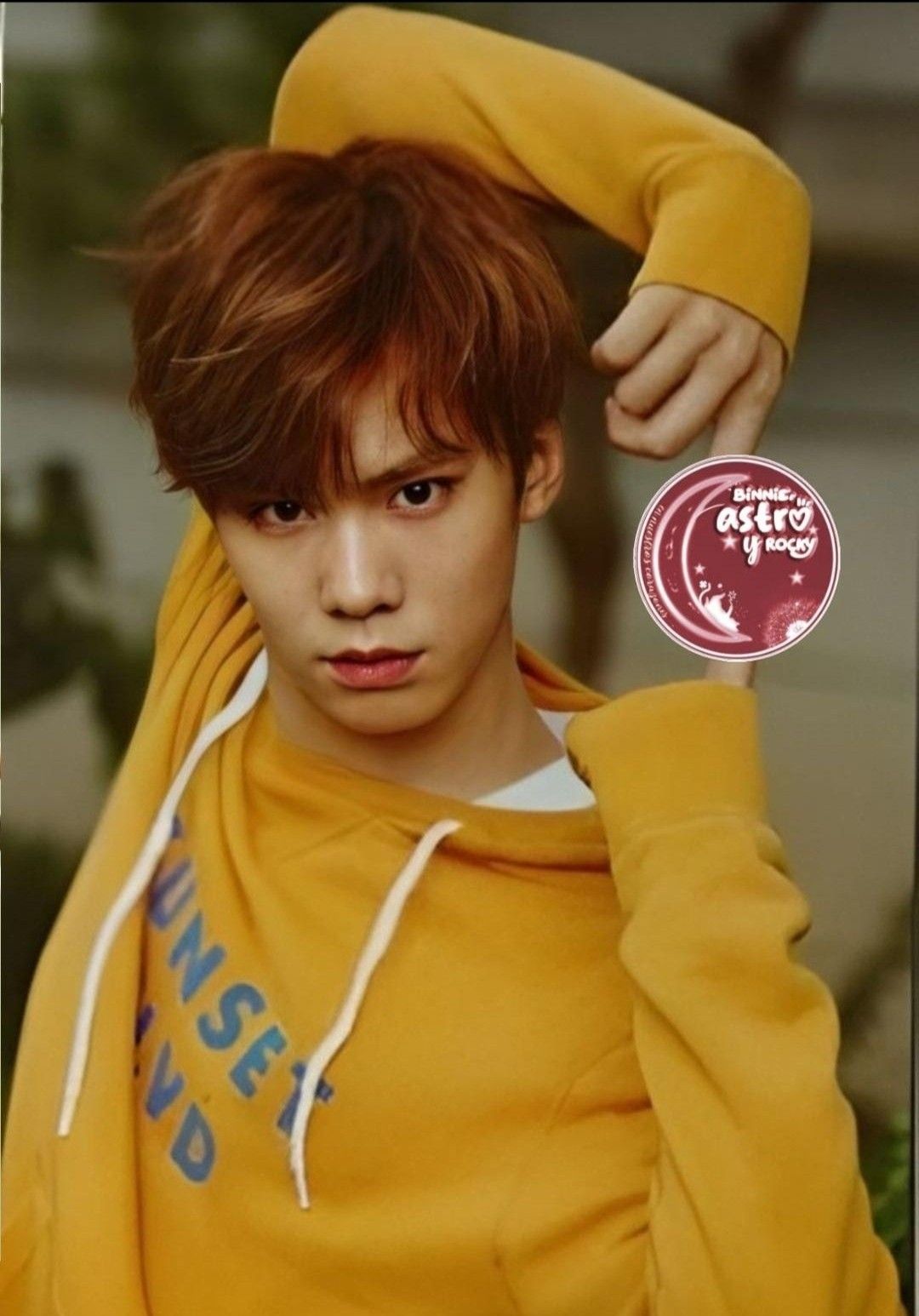 Recent activity shot of Rocky