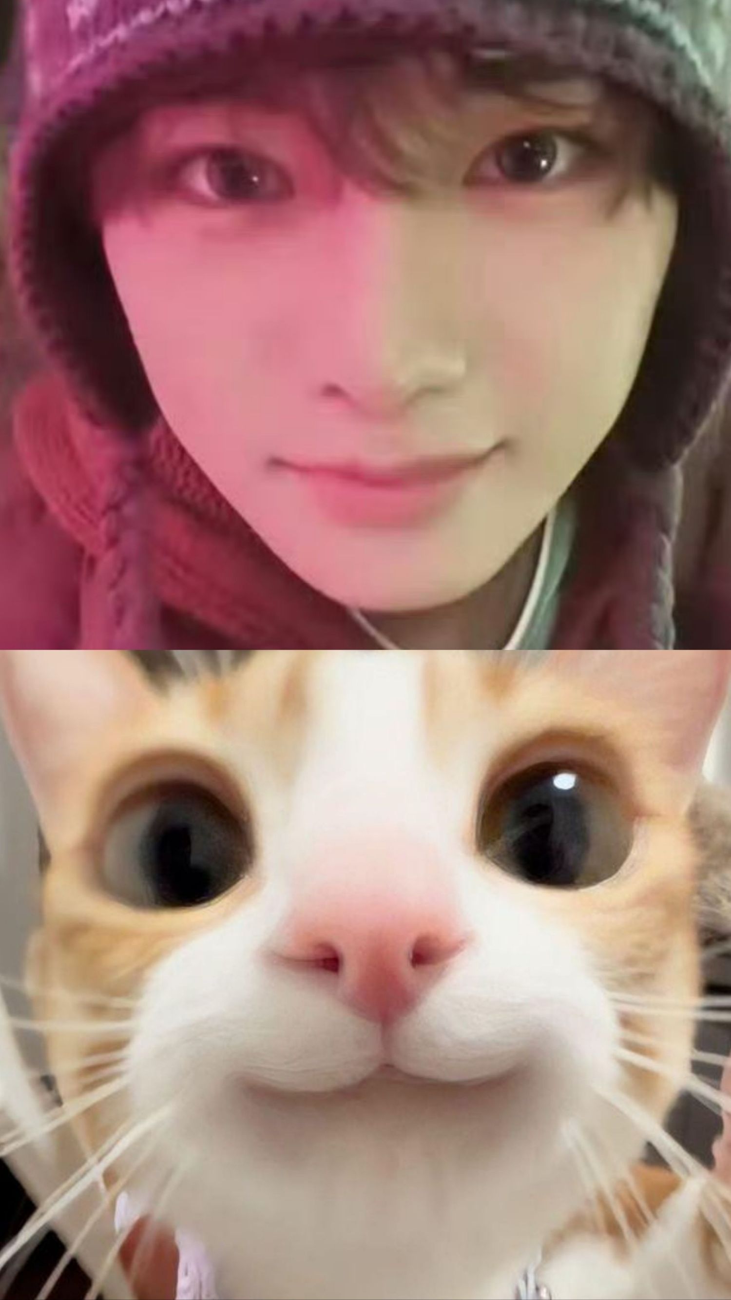 Today's most popular wallpaper in the Zhou Anxin (ALPHA DRIVE ONE) community