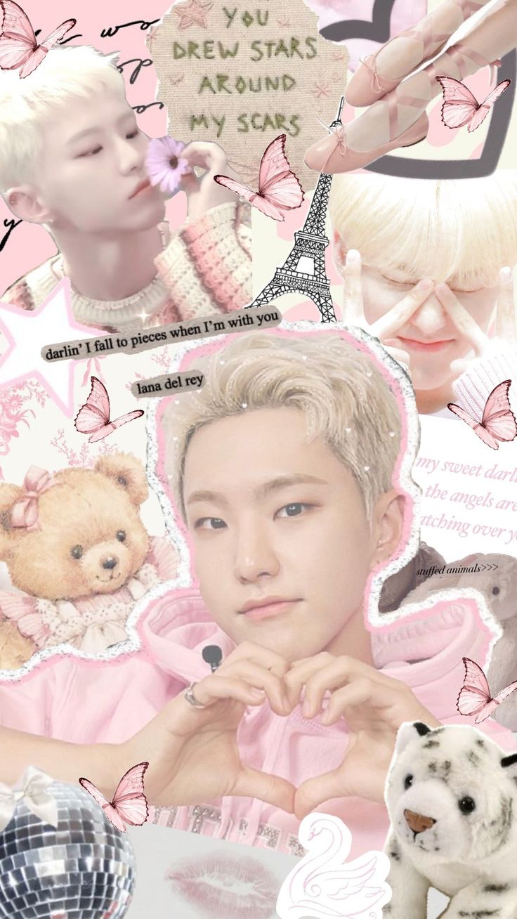 A moment captured by Hoshi (SEVENTEEN)'s fan