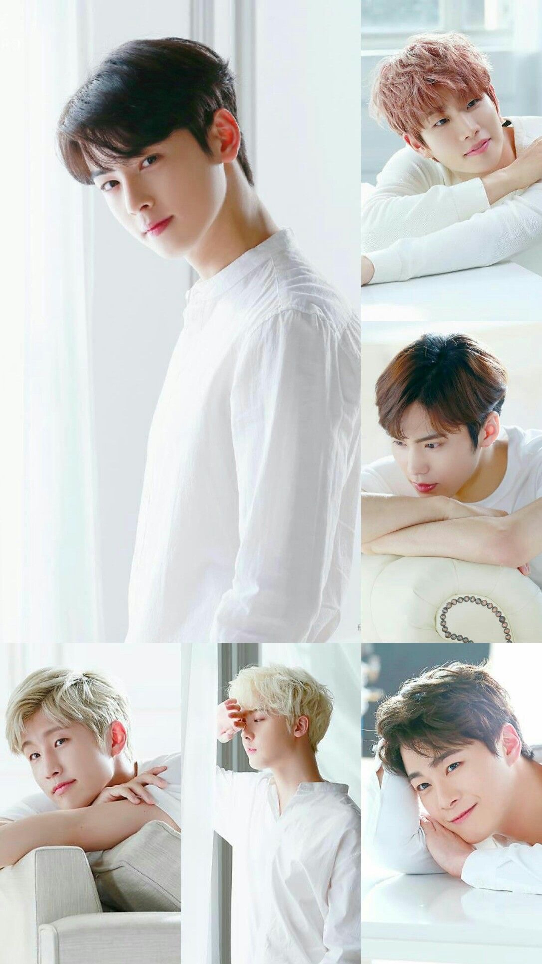 아스트로 팬이 찍은 순간