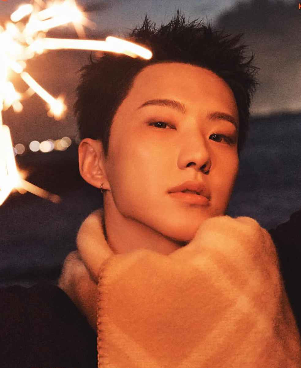 A moment captured by Hoshi (SEVENTEEN)'s fan