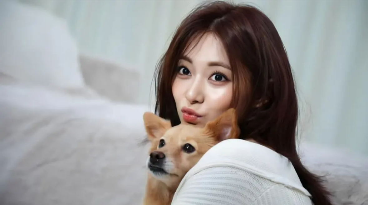 Latest photo of Tzuyu (TWICE)