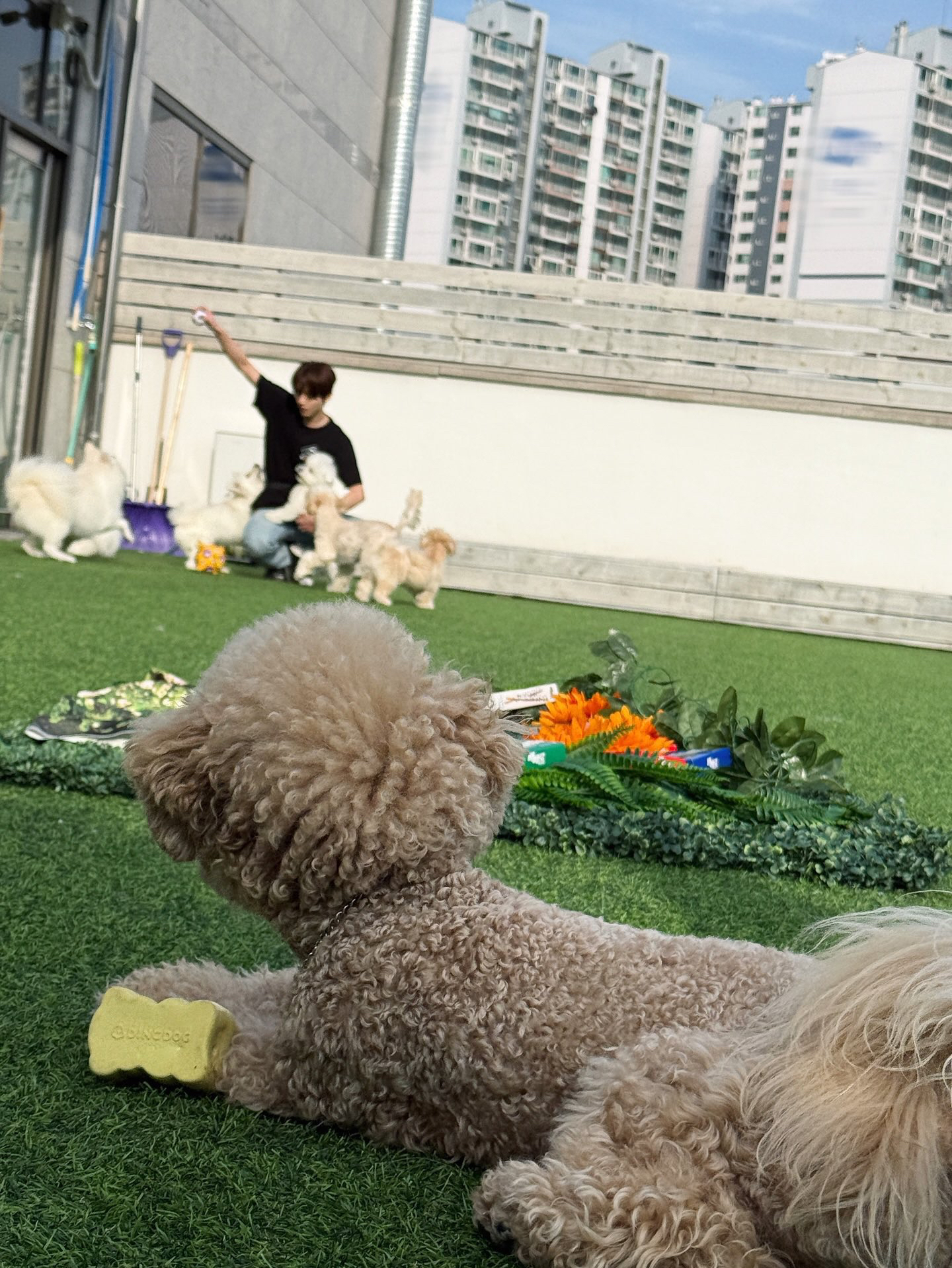 Recent activity shot of Han Yujin (ZEROBASEONE)