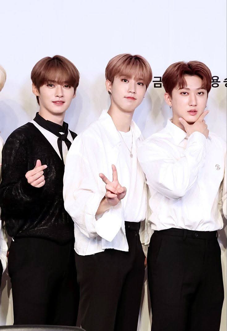 Stray Kids 최근 활동샷