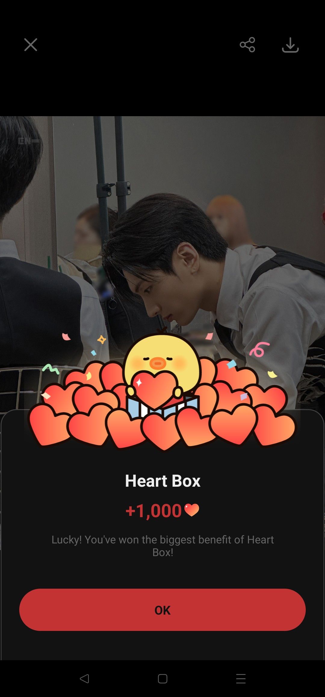 Today's most popular wallpaper in the Jay (ENHYPEN) community