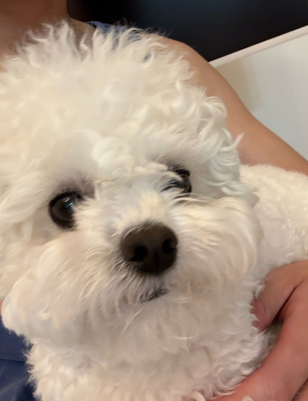 Latest photo of Eunwoo (ASTRO)