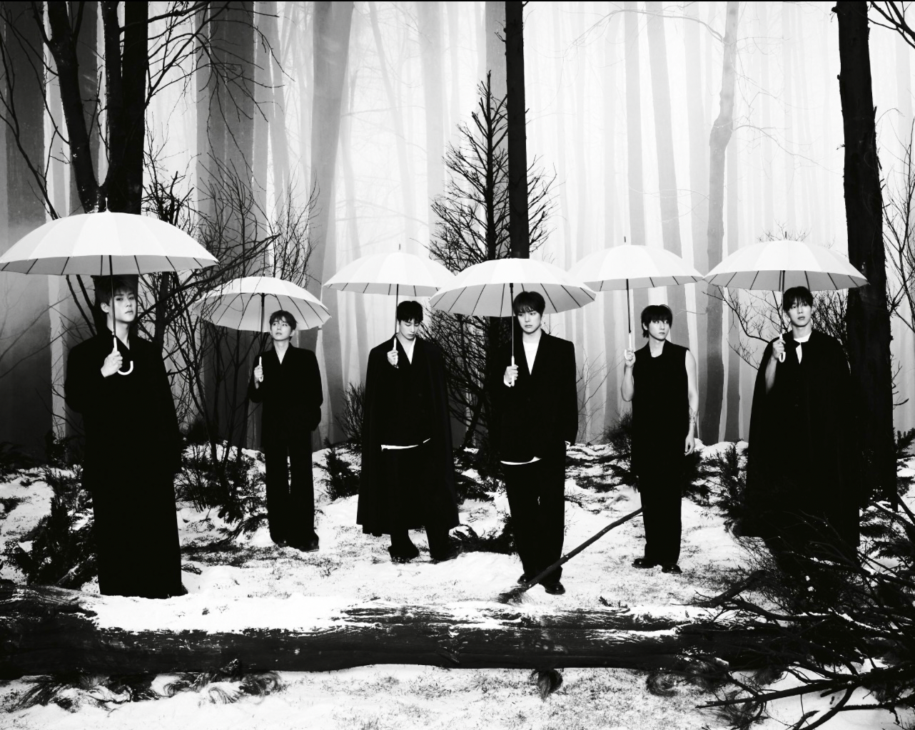 Today's hottest K-pop community feed