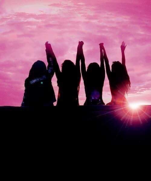 로운 최근 활동샷