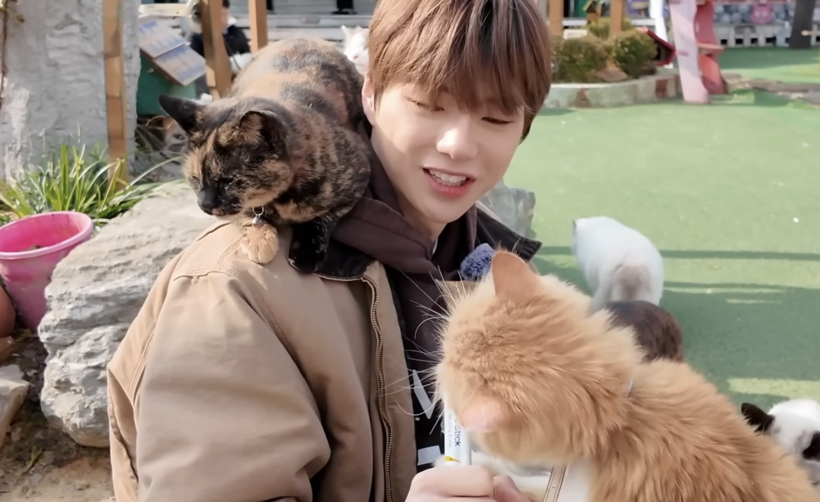 강다니엘의 비하인드 컷