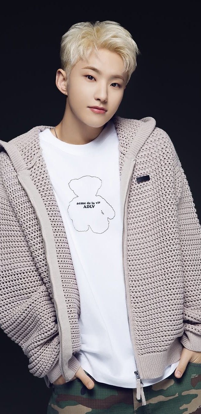 Momen yang diabadikan oleh penggemar SEVENTEEN