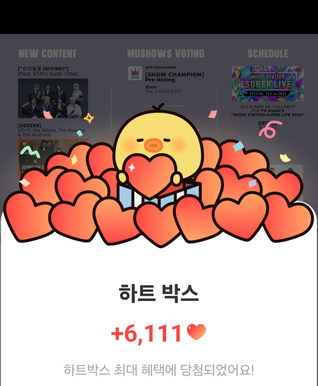 Stray Kids 팬이 찍은 순간