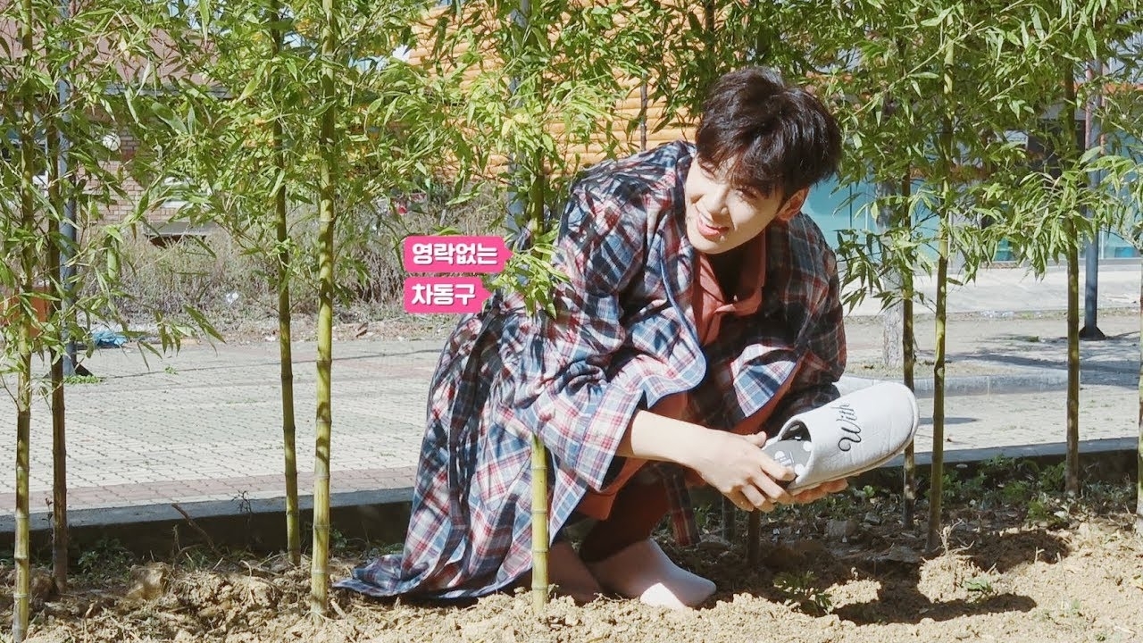 아스트로 팬이 찍은 순간