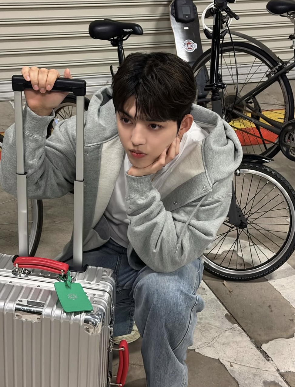 エスクプス (SEVENTEEN)ファンが撮った瞬間