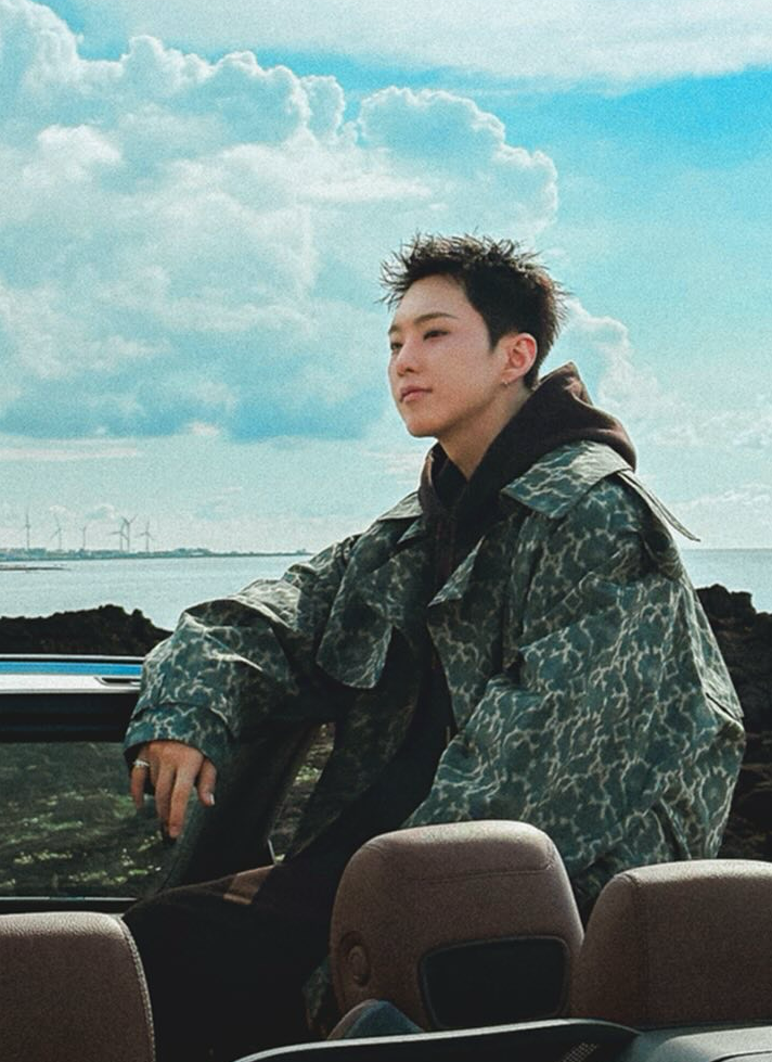 A moment captured by Hoshi (SEVENTEEN)'s fan