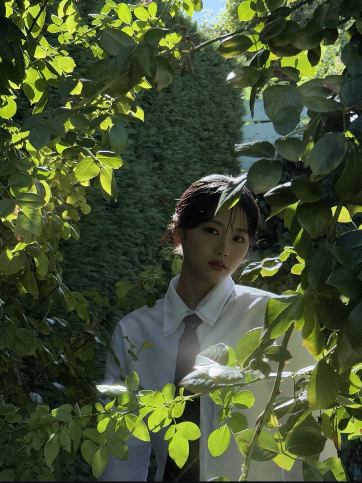 Latest photo of Sasaki Kokona (ME:I)