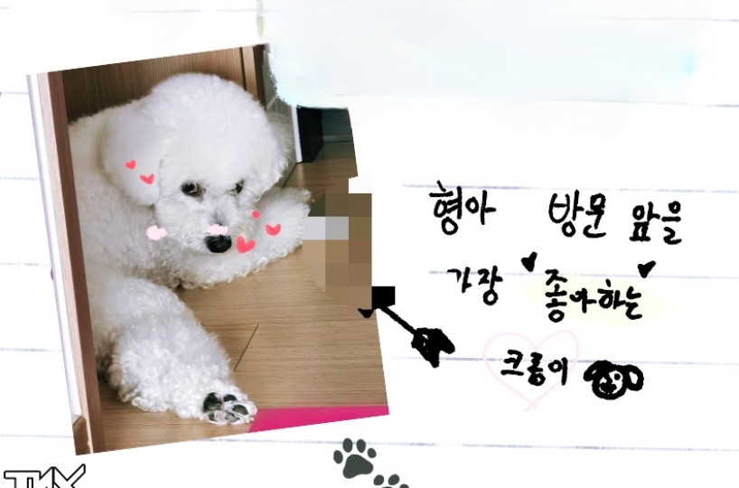 Recent activity shot of Junhyeok (TNX)