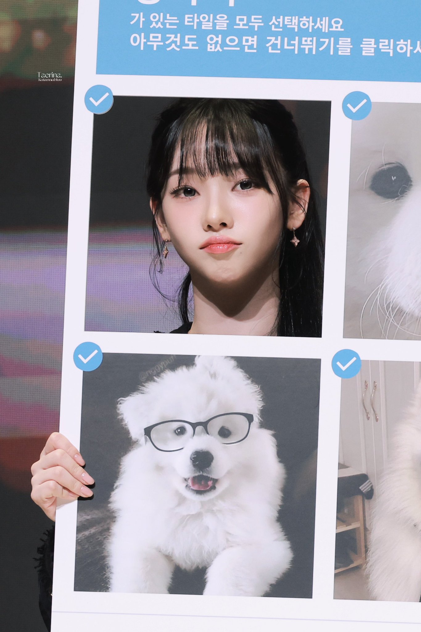 A moment captured by Karina (aespa)'s fan