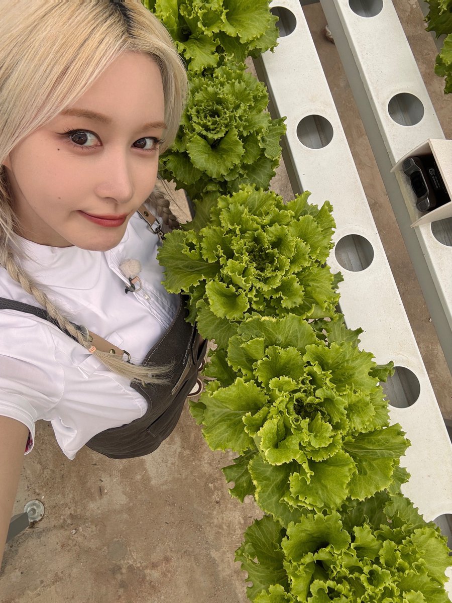 A moment captured by WJSN's fan
