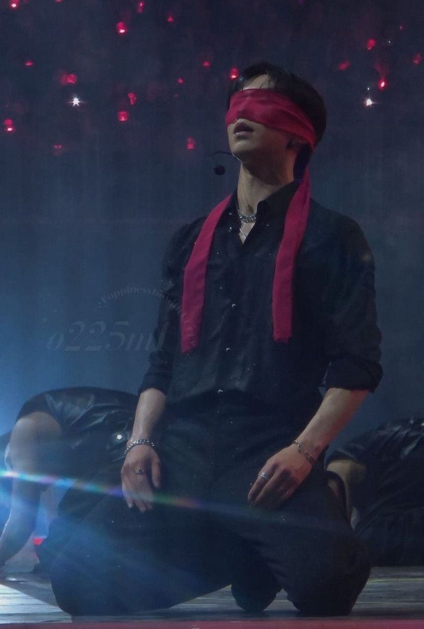 Recent activity shot of Rocky