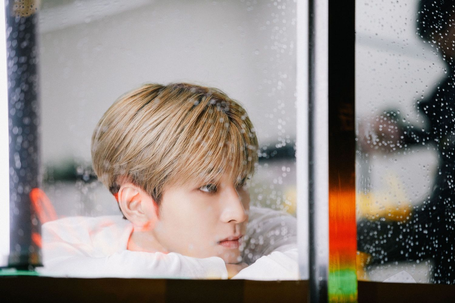 원우 (세븐틴) 팬이 찍은 순간