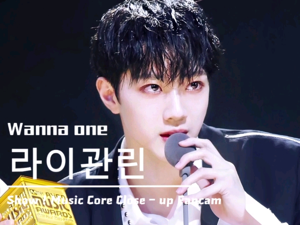 Recent activity shot of Wanna One