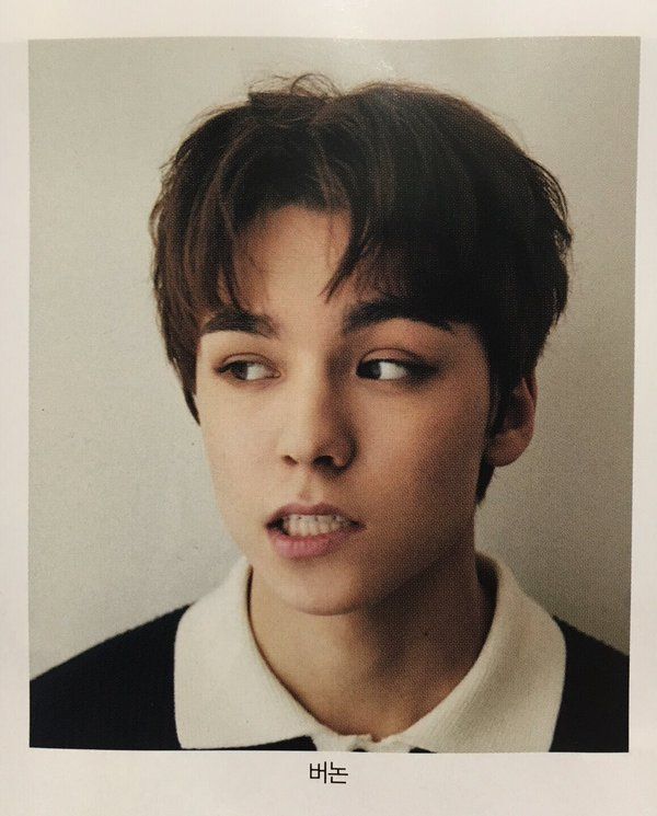 Potret di balik layar Vernon (SEVENTEEN)