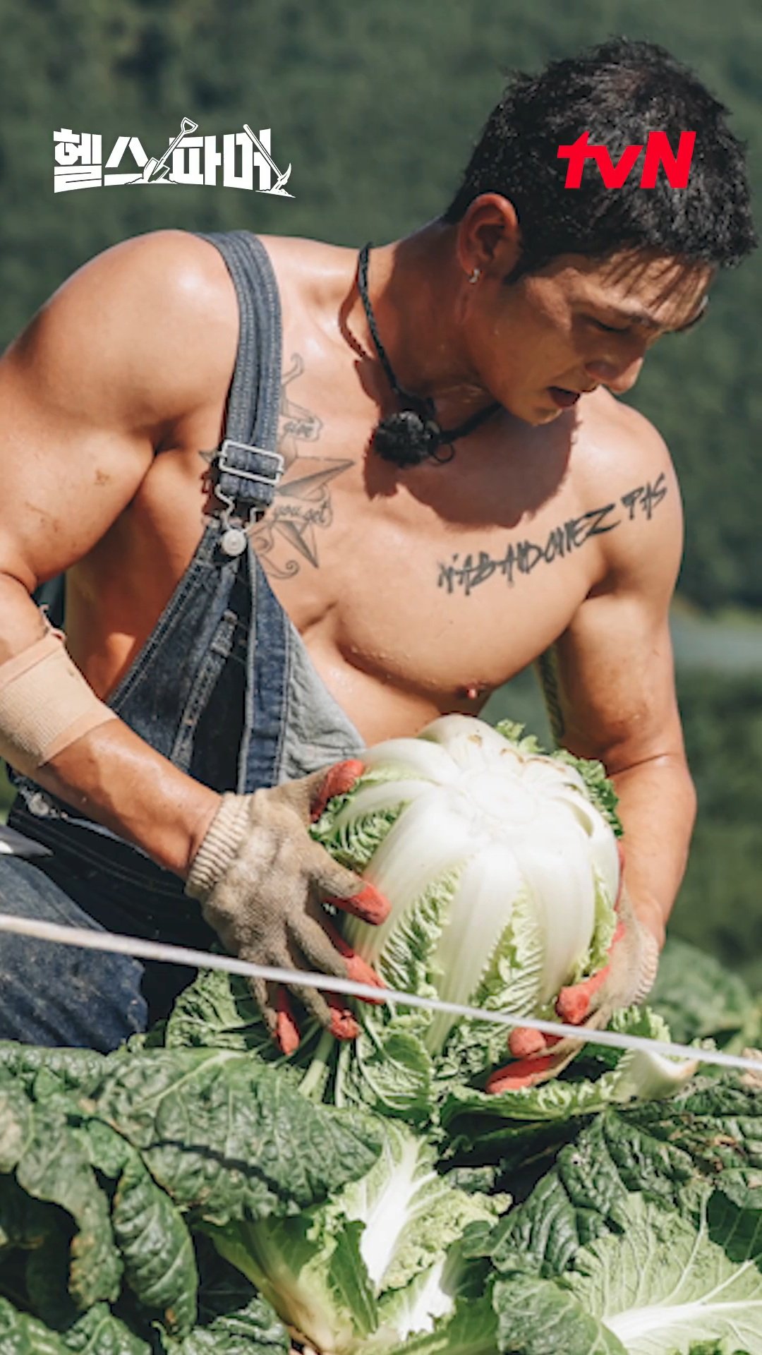 백호의 비하인드 컷