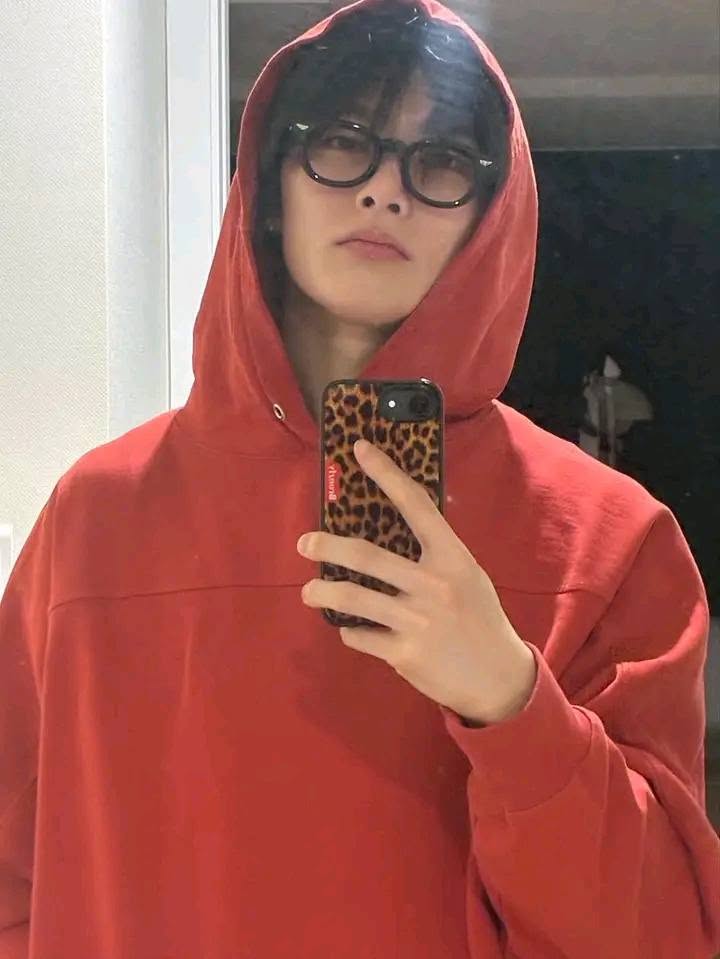 A moment captured by I.N (Stray Kids)'s fan