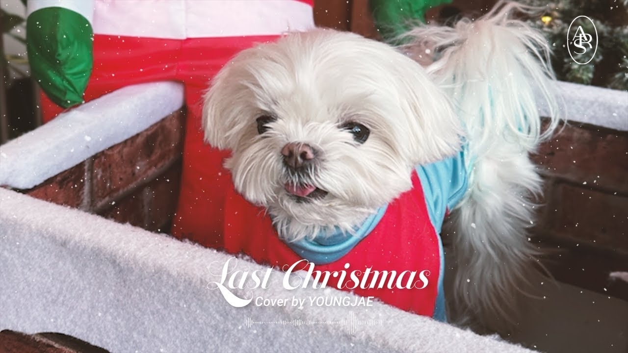 A moment captured by Youngjae (GOT7)'s fan