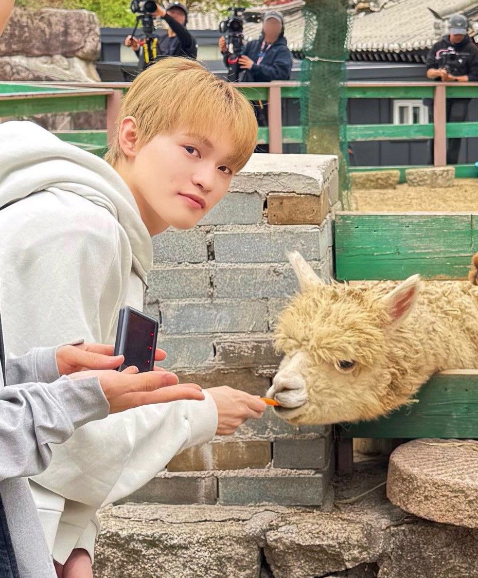 A moment captured by Chenle (NCT DREAM)'s fan