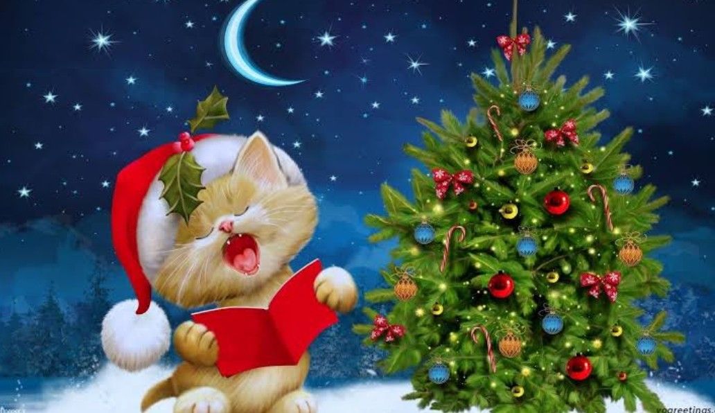 A moment captured by Moonbin (ASTRO)'s fan