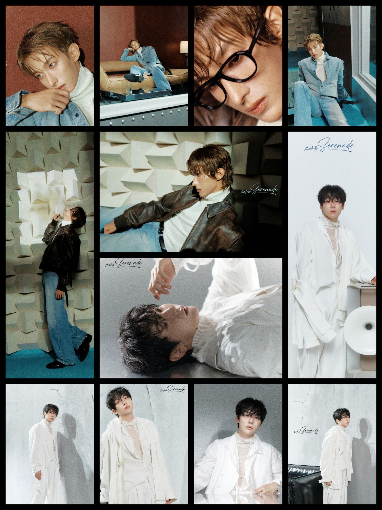 세븐틴 팬이 찍은 순간