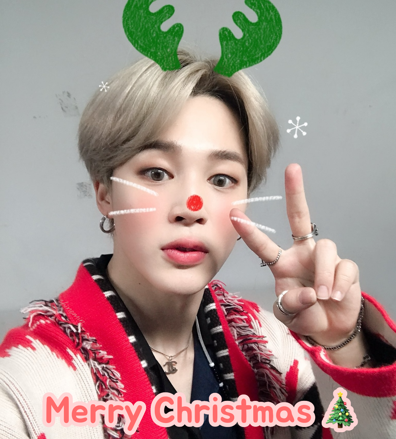 지민 (방탄소년단) 팬이 찍은 순간