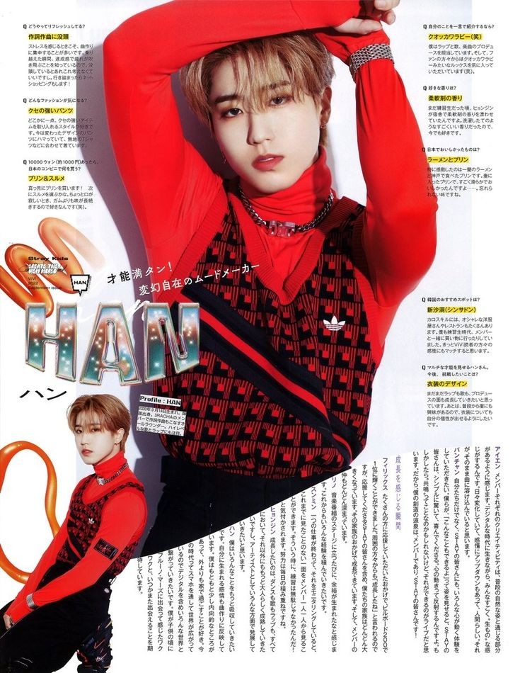 A moment captured by HAN (Stray Kids)'s fan