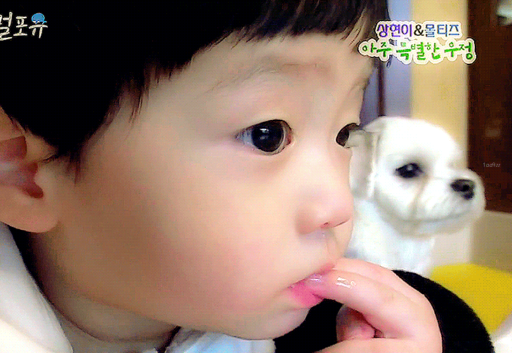 Recent activity shot of Chung Sanghyeon (ALPHA DRIVE ONE)