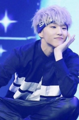 A moment captured by Hoshi (SEVENTEEN)'s fan