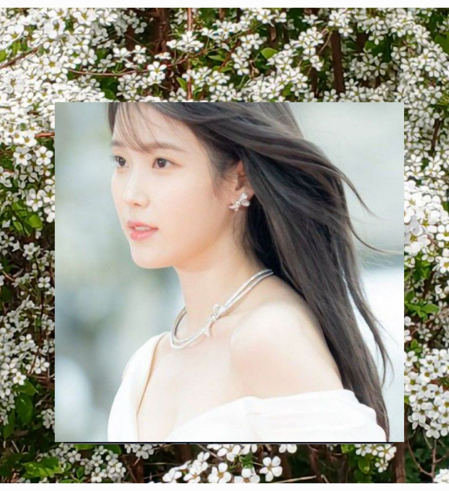 A moment captured by IU's fan