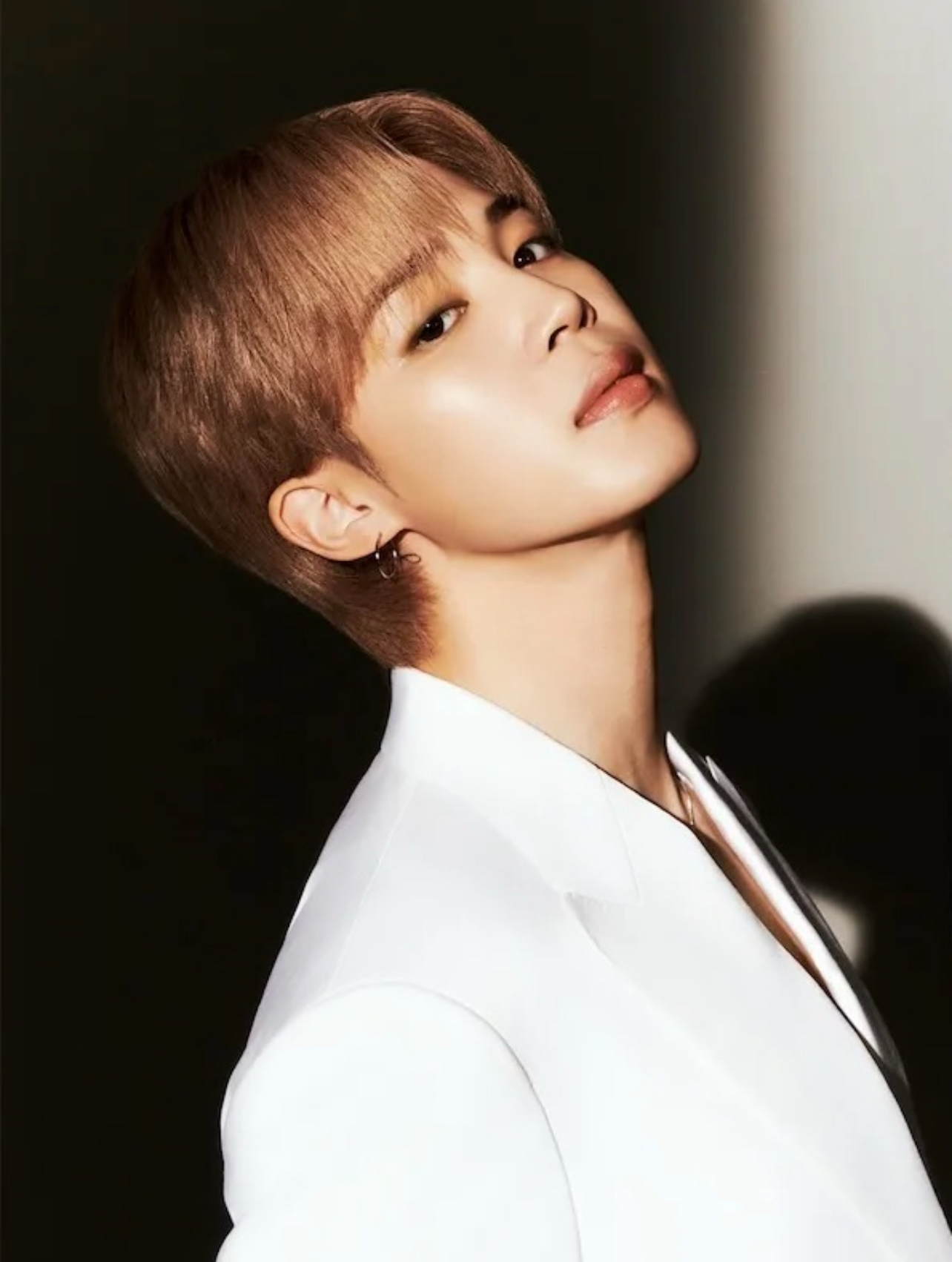 지민 (방탄소년단) 팬이 찍은 순간