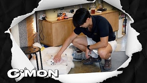 Shownu (MONSTA X)的最新活动照片