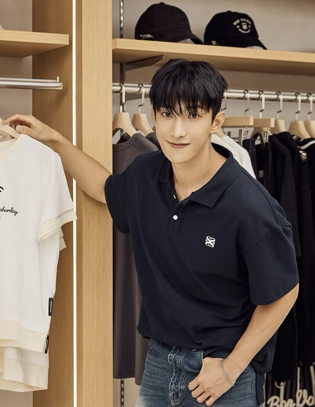A moment captured by DK (SEVENTEEN)'s fan