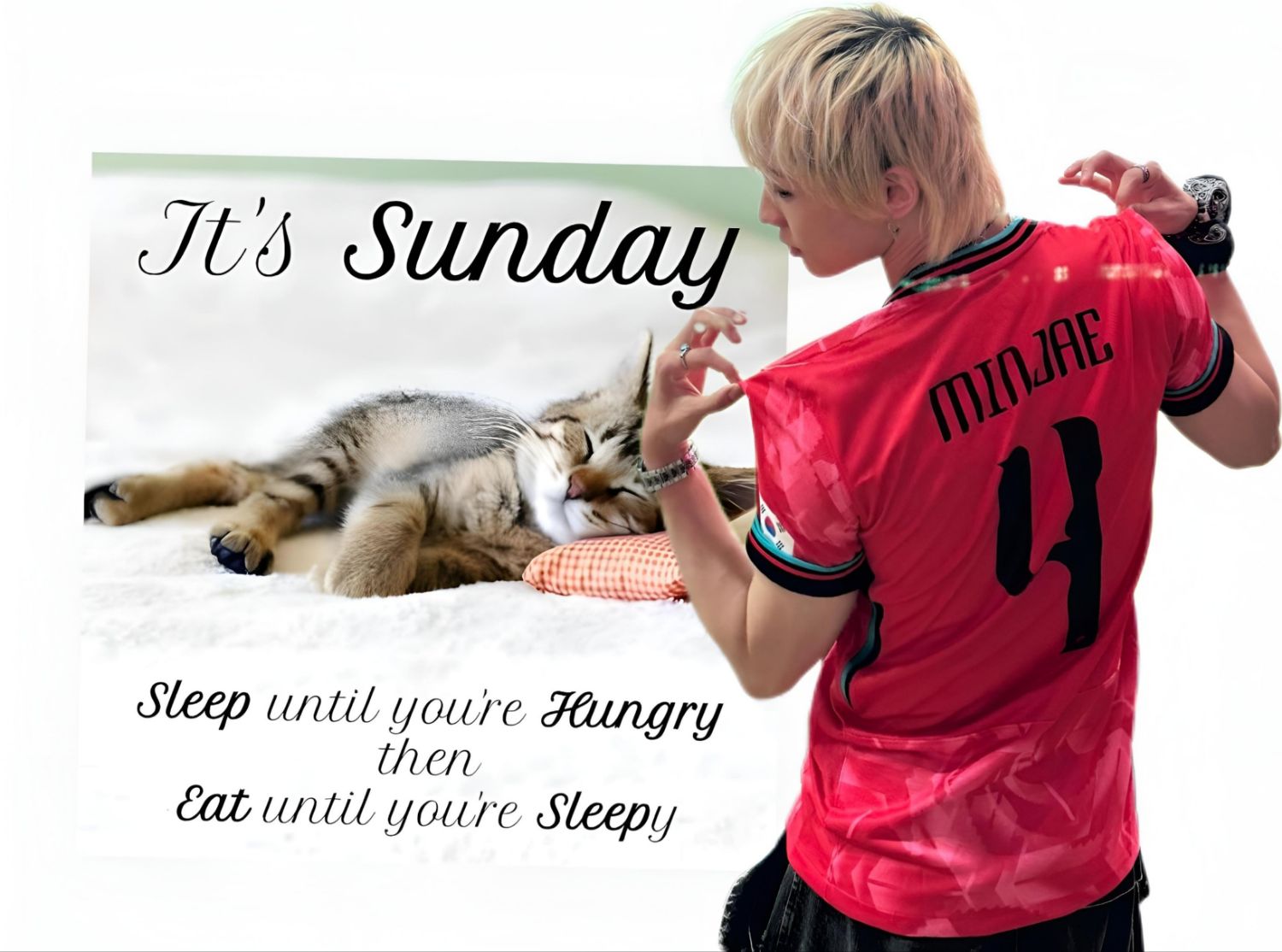 천준혁 (TNX) 최근 활동샷