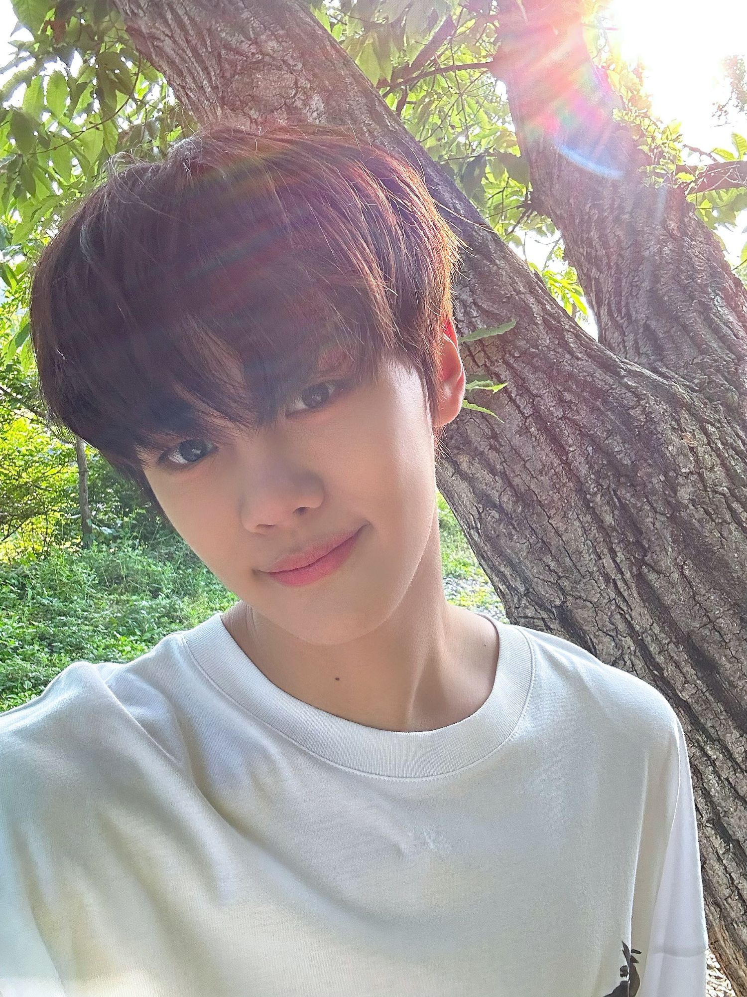A moment captured by Kim Gyuvin (ZEROBASEONE)'s fan