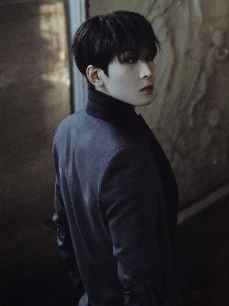 원우 (세븐틴) 팬이 찍은 순간