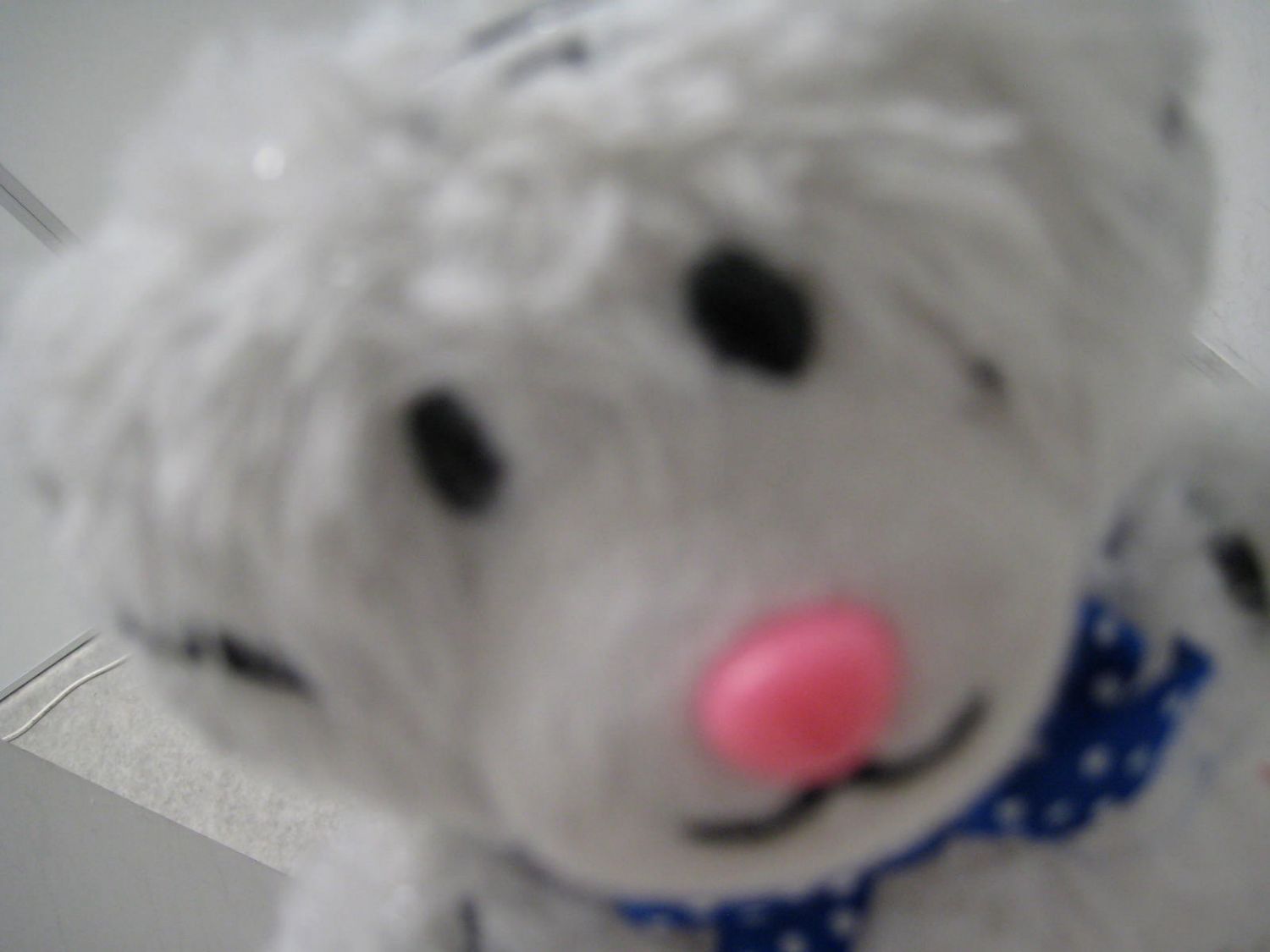 Latest photo of Iroha (ILLIT)