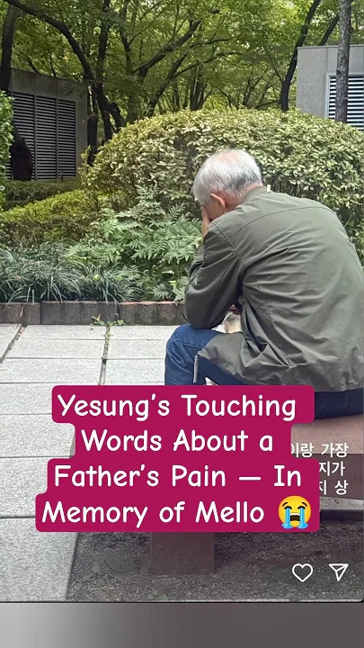 Super Juniorファンが撮った瞬間